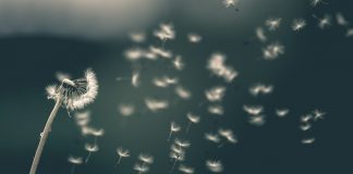 GoWish nets €13.4m to fuel US growth push
