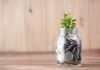 Blue Barn and Paragon join Savvy's advisor network
