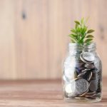 Blue Barn and Paragon join Savvy's advisor network