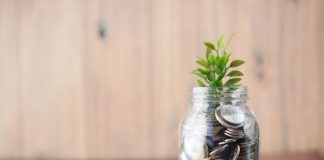 Blue Barn and Paragon join Savvy's advisor network