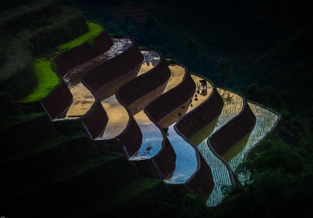 tu-nguy-n-yW9DcLDYdMw-unsplash