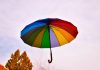 bolt launches AI-powered insurance distribution platform Bolt launches AI-powered insurance distribution platform