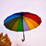 Bolt launches AI-powered insurance distribution platform