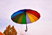 Bolt launches AI-powered insurance distribution platform