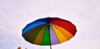 Bolt launches AI-powered insurance distribution platform