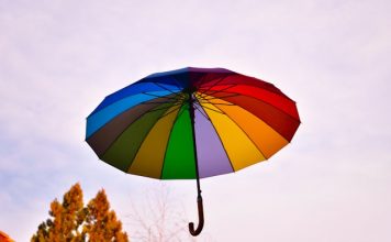 Bolt launches AI-powered insurance distribution platform