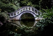 MindBridge and Fieldguide join forces on audit risk