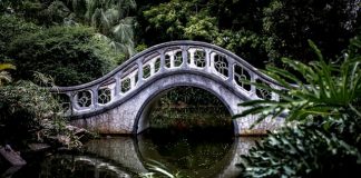 MindBridge and Fieldguide join forces on audit risk