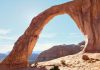 Arch extends AI platform into pre-investment diligence