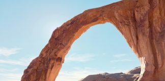 Arch extends AI platform into pre-investment diligence