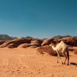 Jumio expands reusable KYC identity solution across EMEA
