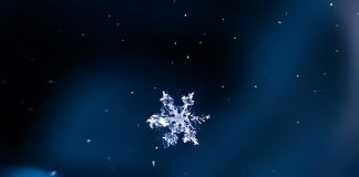 LSEG and Snowflake expand AI data partnership
