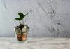 Mona raises $3.5m to widen small business capital access