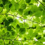 Evergreen.ai launches free AI financial adviser