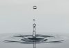 Ripple and SettleMint unite custody and tokenisation for financial institutions