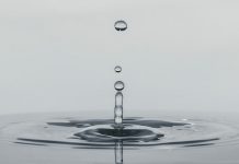 Ripple and SettleMint unite custody and tokenisation for financial institutions
