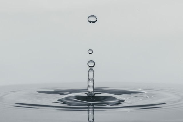 Ripple and SettleMint unite custody and tokenisation for financial institutions