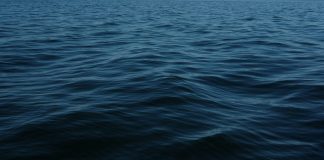 ocean