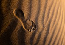 Footprint bags $25m to arm banks against AI-driven crime Footprint
