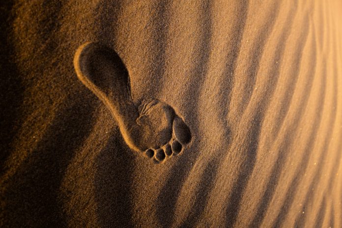 Footprint
