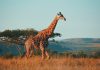 Instarc bags €1.25m to crack South Africa's compliance market