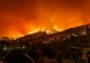 ZestyAI powers Risk Theory’s California wildfire cover