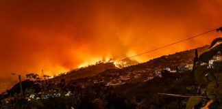 ZestyAI powers Risk Theory’s California wildfire cover