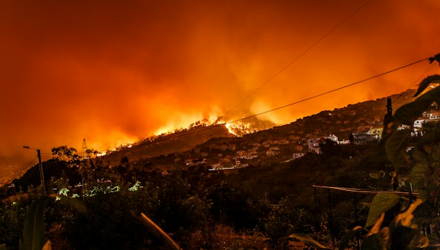 ZestyAI powers Risk Theory’s California wildfire cover