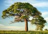 Climate risk exposes limits of capital market models