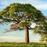 Climate risk exposes limits of capital market models