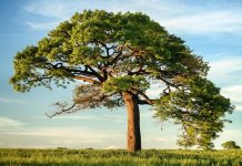 Climate risk exposes limits of capital market models