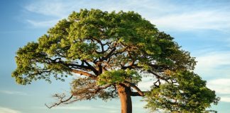 Climate risk exposes limits of capital market models
