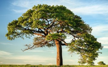 Climate risk exposes limits of capital market models