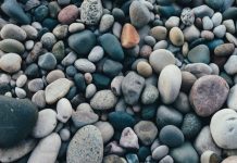 Curvestone named OpenAI Select Partner