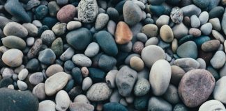 Curvestone named OpenAI Select Partner