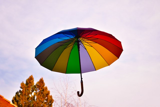 vincent-pere-VeTPeODeFEU-unsplash (2) Luzern Risk raises $45m Series B led by Insight Partners