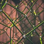 Kidbrooke: why scattered product data puts trust at risk