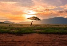 Kora launches stablecoin rail for African cross-border payments Kora launches stablecoin rail for African cross-border payments