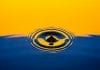 Quensus bets on prevention data to tackle costly water claims Can water technology give insurers a better way to manage property risk?