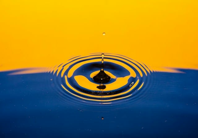 Quensus bets on prevention data to tackle costly water claims Can water technology give insurers a better way to manage property risk?