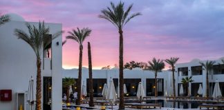 Revolut expands RevPoints with hotel loyalty transfers