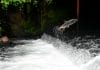 Salmon secures $140m to expand lending in the Philippines