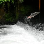 Salmon secures $140m to expand lending in the Philippines