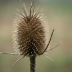 Spiko raises $90m to scale tokenised cash funds
