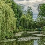 VestGen secures Willow Tree capital to fuel succession push