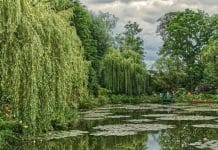 VestGen secures Willow Tree capital to fuel succession push VestGen secures Willow Tree capital to fuel succession push