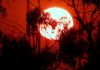 Why 2026's heatwave is a portfolio risk investors can't ignore