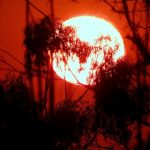 Why 2026's heatwave is a portfolio risk investors can't ignore