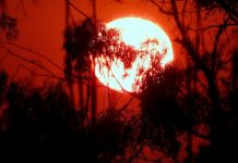 Why 2026's heatwave is a portfolio risk investors can't ignore