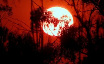Why 2026’s heatwave is a portfolio risk investors can’t ignore Why 2026's heatwave is a portfolio risk investors can't ignore